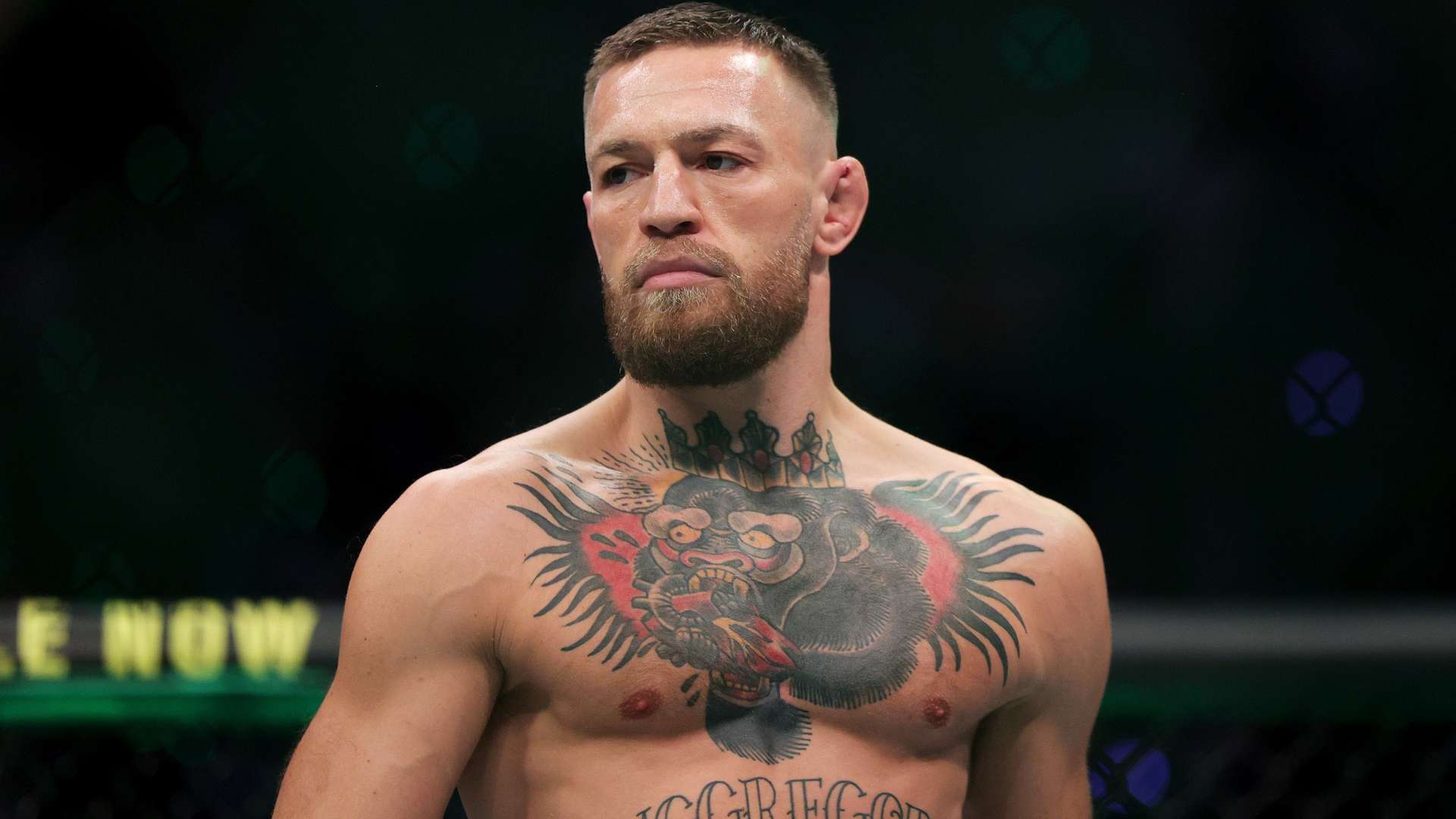 在近年来的 在近年来的