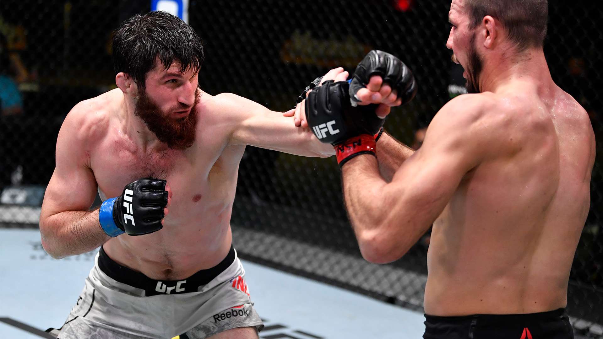 扮演着至关 扮演着至关